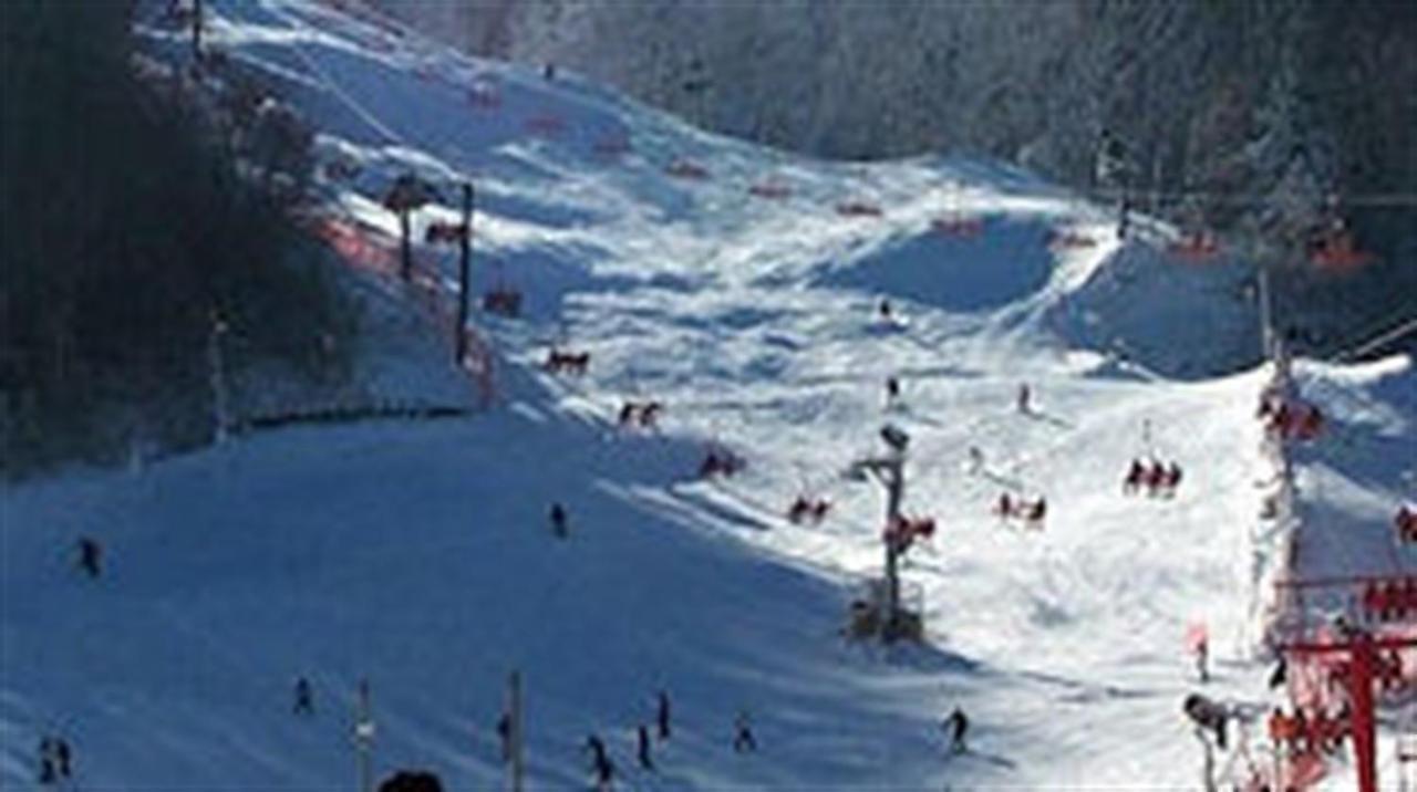 Mountain Springs Chalet Гатлинбург Экстерьер фото